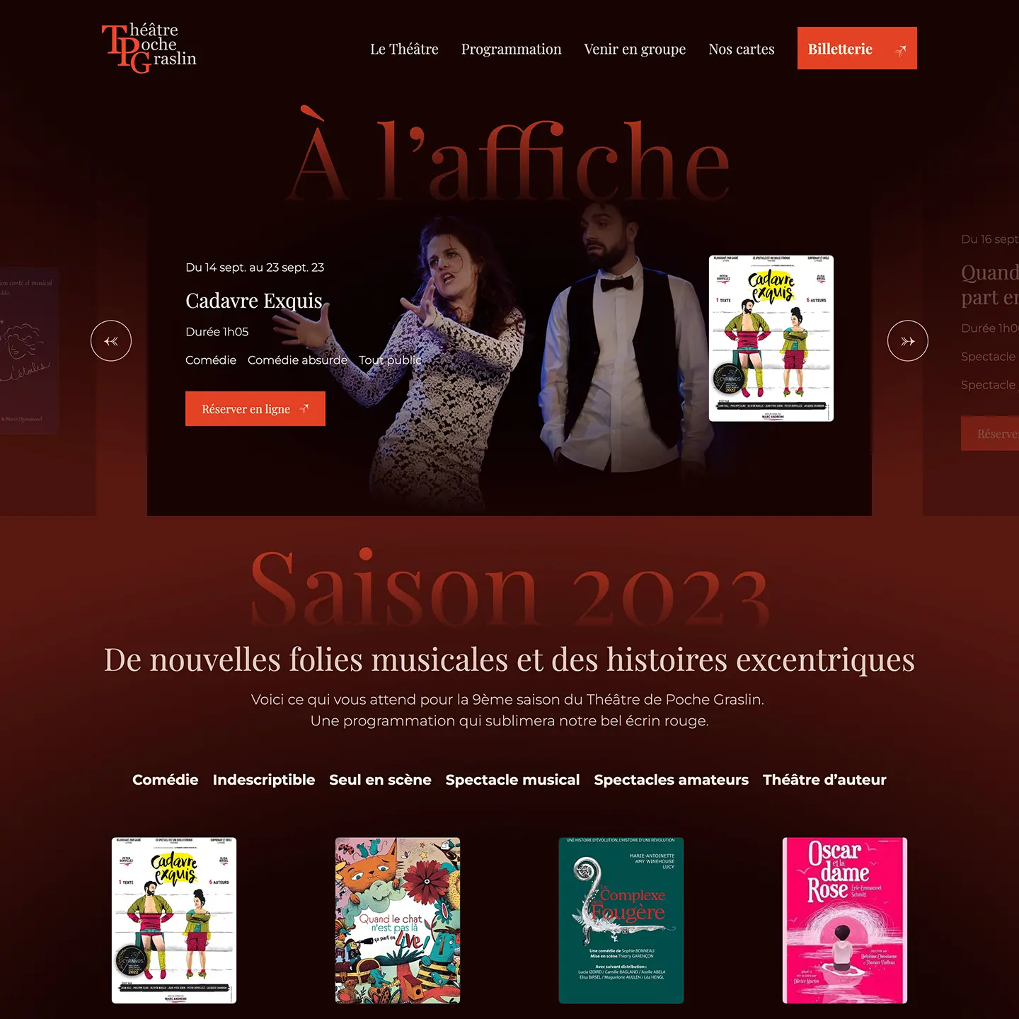 Page d'accueil du site internet wordpress réalisé par kévin Réaux aka krikrak pour le Théâtre de Poche Graslin à Nantes